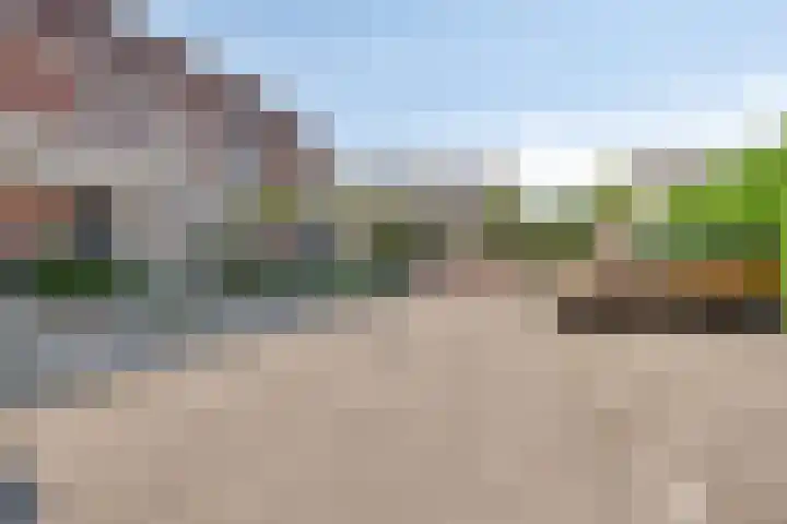 Visarend 59 Bergen op Zoom thumbnail 37