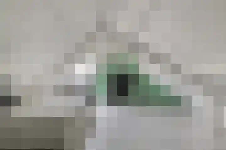 Visarendsingel 22 Nieuwegein thumbnail 18