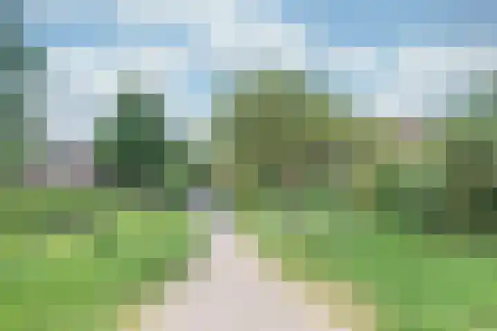 Visarendsingel 22 Nieuwegein thumbnail 24
