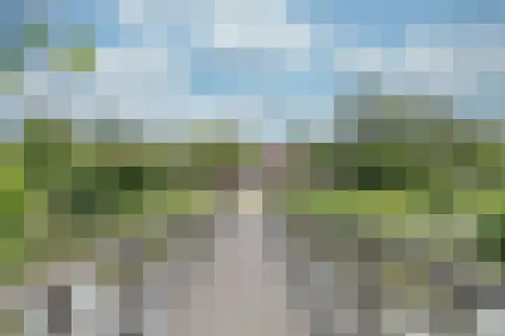 Visarendsingel 22 Nieuwegein thumbnail 25