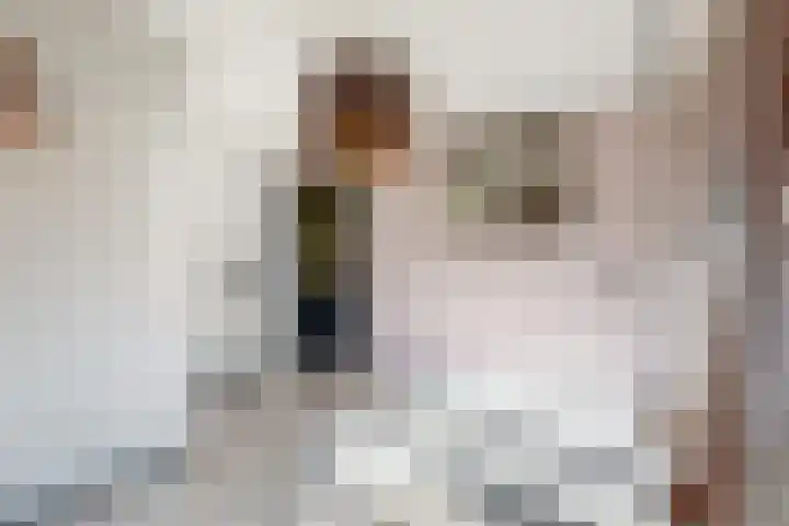Visarendsingel 23 Nieuwegein thumbnail 20
