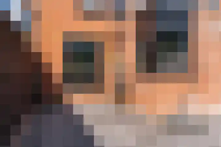 Visarendsingel 23 Nieuwegein thumbnail 25