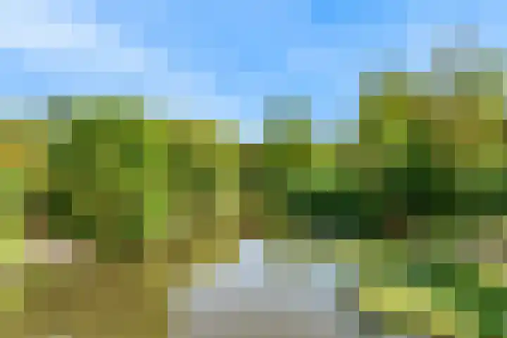 Visarendsingel 23 Nieuwegein thumbnail 35