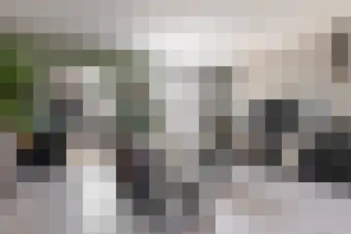 Visarendsingel 23 Nieuwegein thumbnail 6