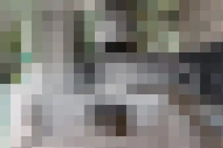 Visarendsingel 23 Nieuwegein thumbnail 9