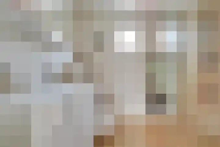Visarendsingel 5 Nieuwegein thumbnail 28