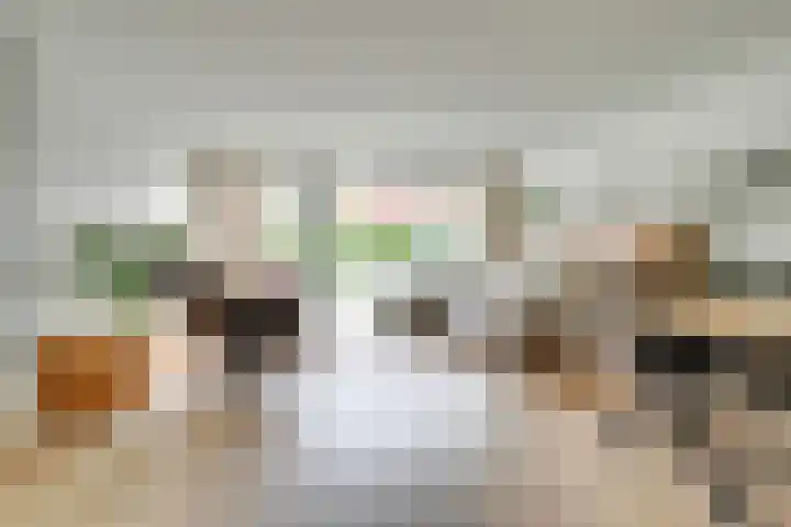 Visarendsingel 5 Nieuwegein thumbnail 4