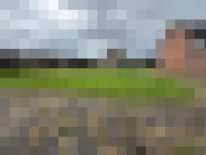 Visartstraat 14 Sluiskil thumbnail 11
