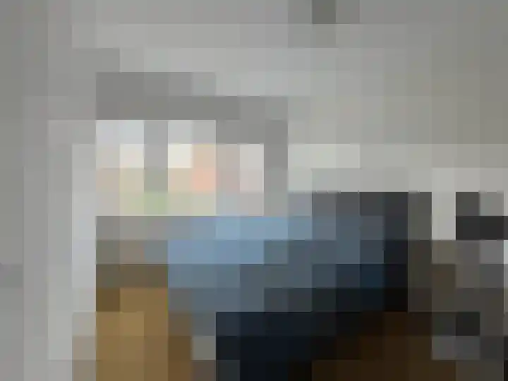 Visartstraat 14 Sluiskil thumbnail 14