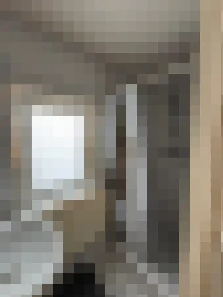Visartstraat 14 Sluiskil thumbnail 16