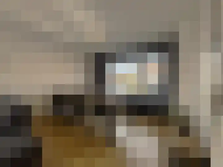 Visartstraat 14 Sluiskil thumbnail 5