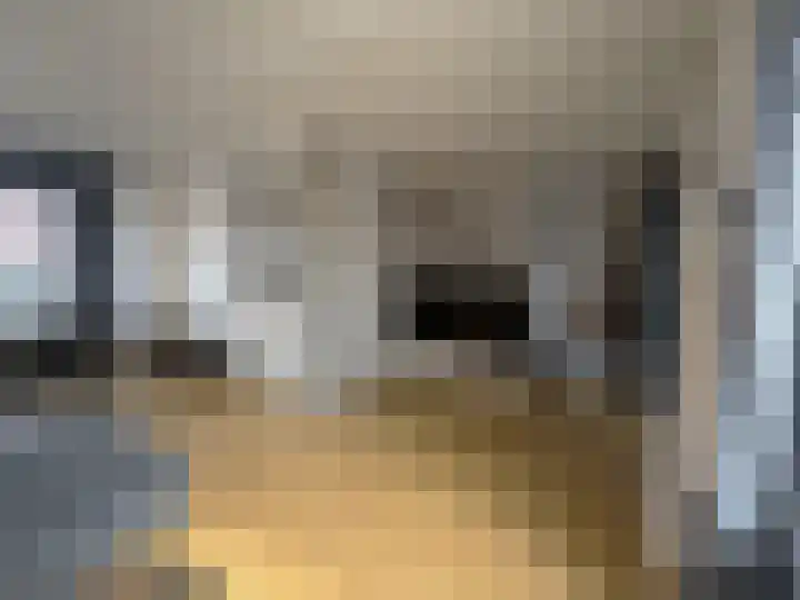 Visartstraat 14 Sluiskil thumbnail 6
