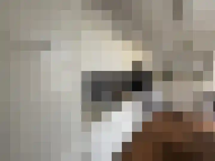 Visartstraat 14 Sluiskil thumbnail 7