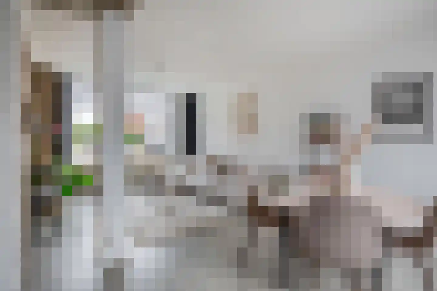 Visartstraat 20 Sluiskil thumbnail 10