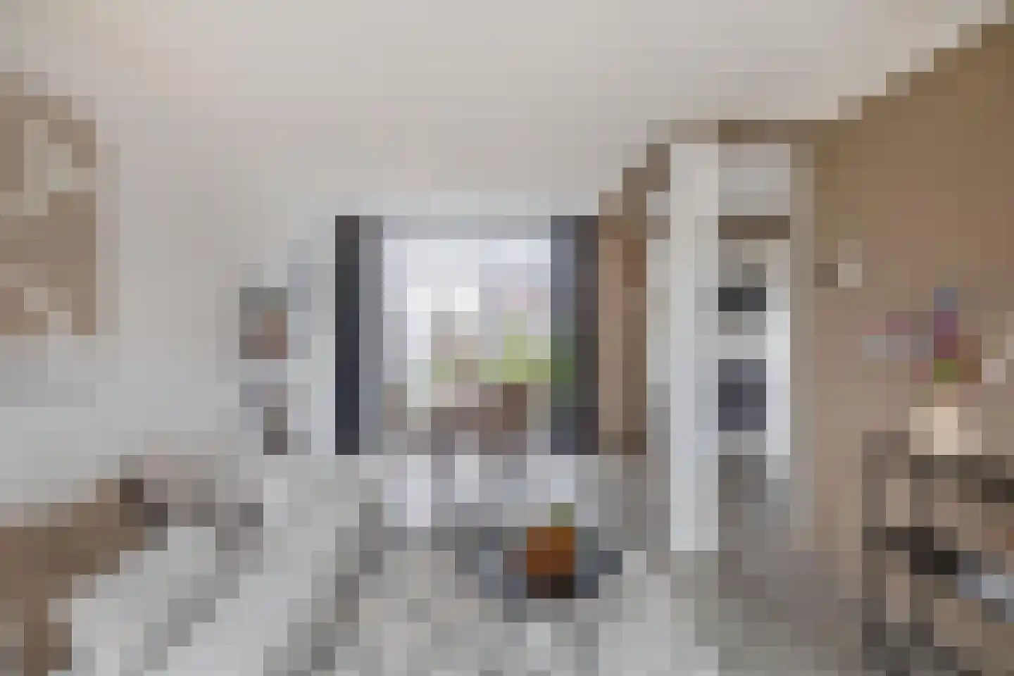 Visartstraat 20 Sluiskil thumbnail 12