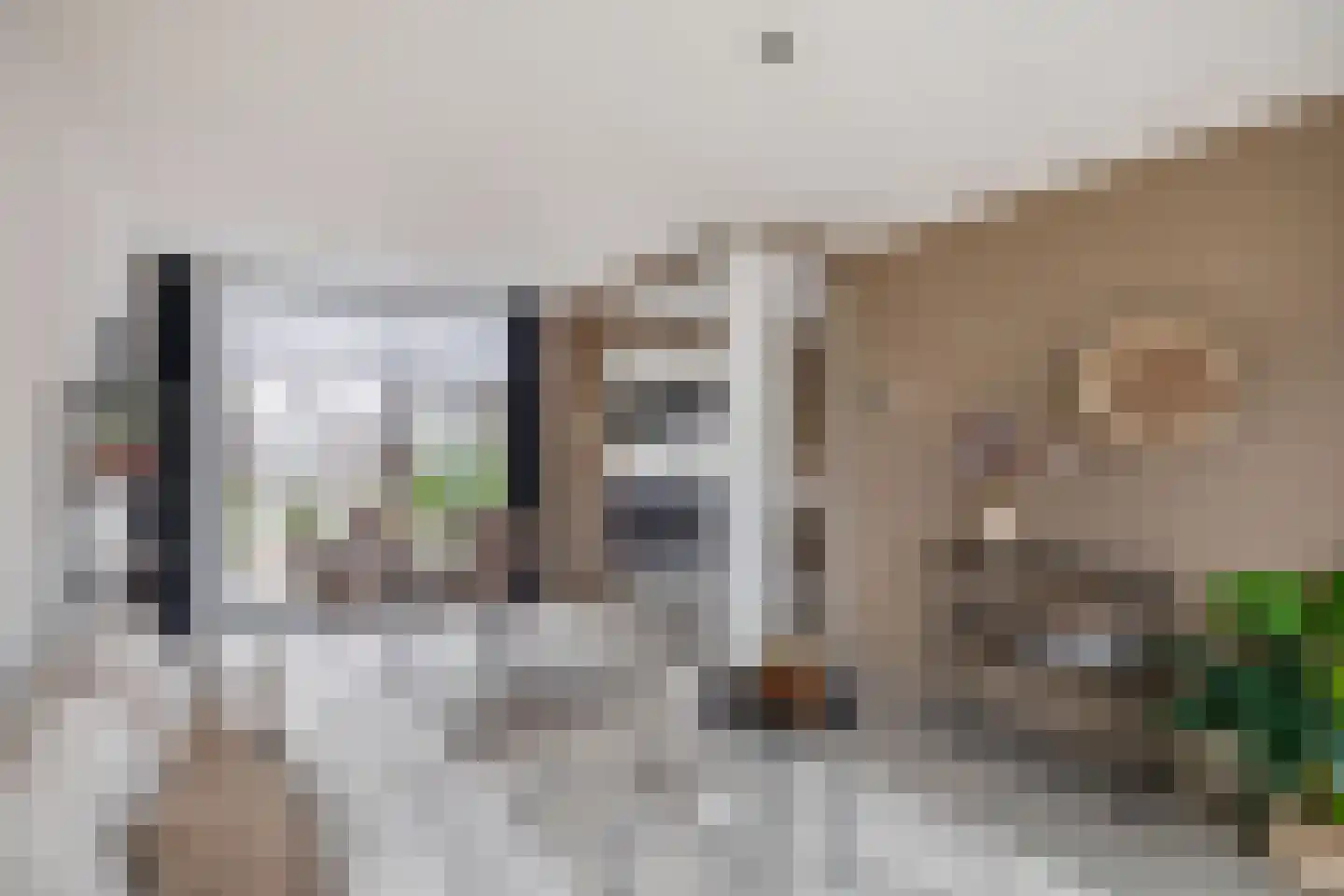 Visartstraat 20 Sluiskil thumbnail 13