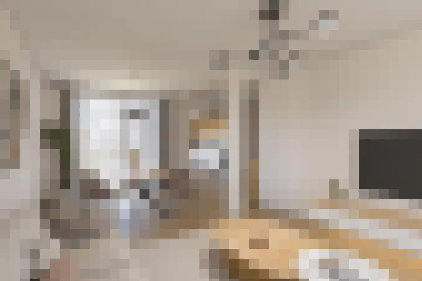 Visartstraat 20 Sluiskil thumbnail 14