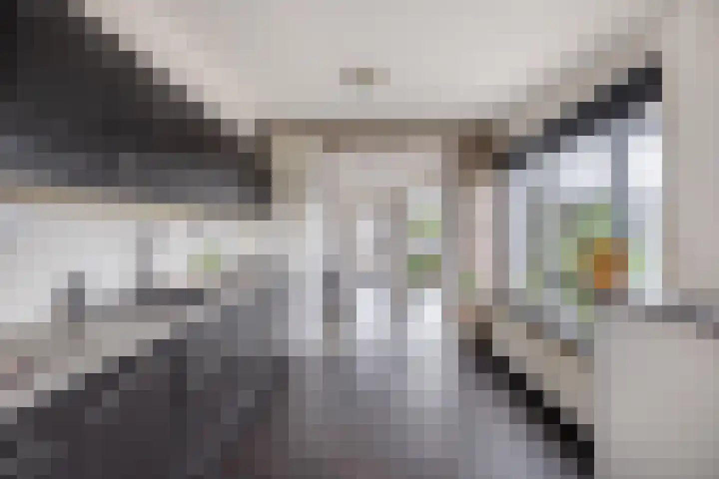 Visartstraat 20 Sluiskil thumbnail 18