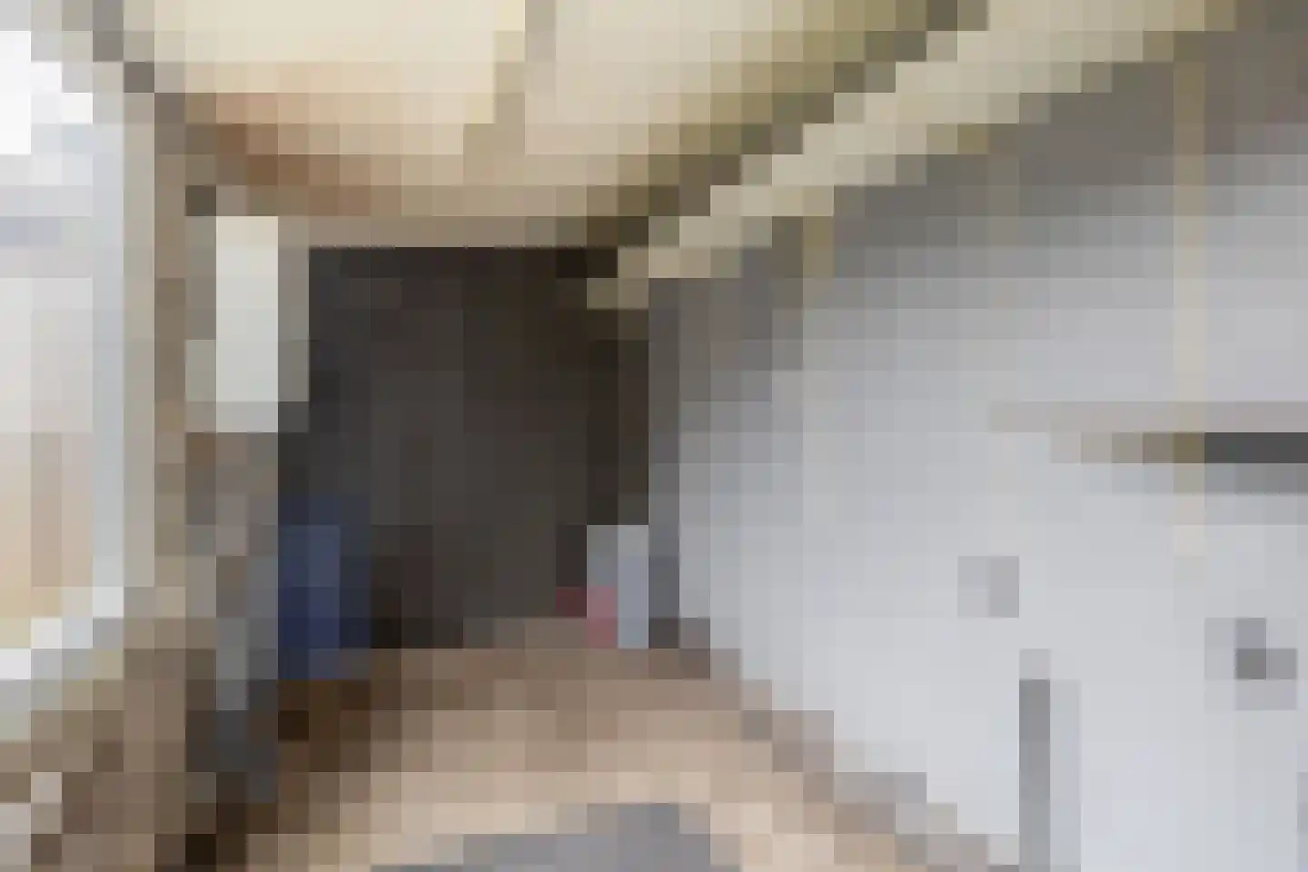 Visartstraat 20 Sluiskil thumbnail 19