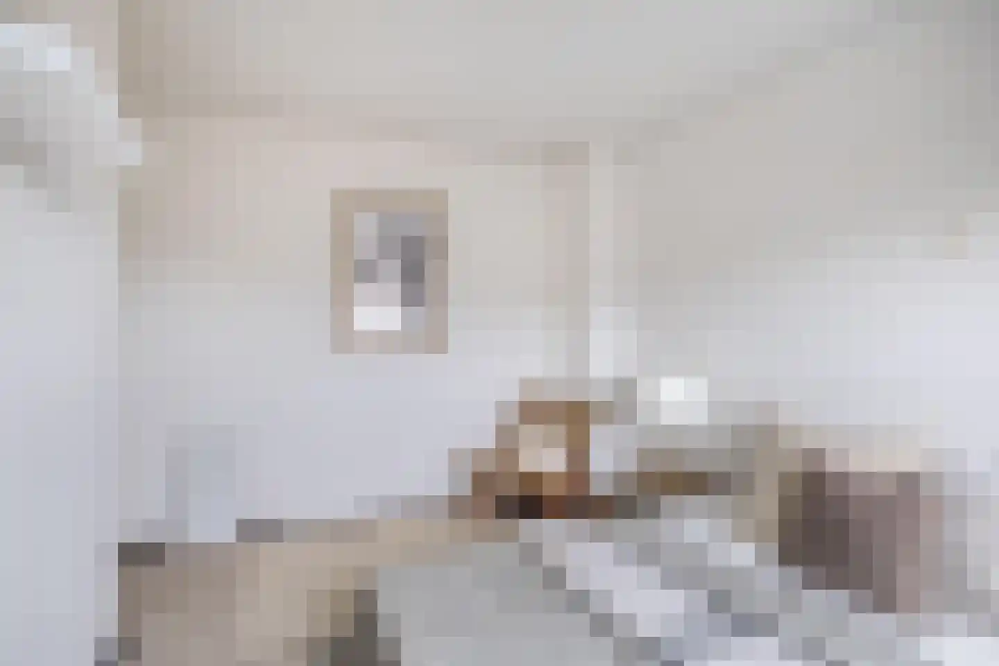 Visartstraat 20 Sluiskil thumbnail 25