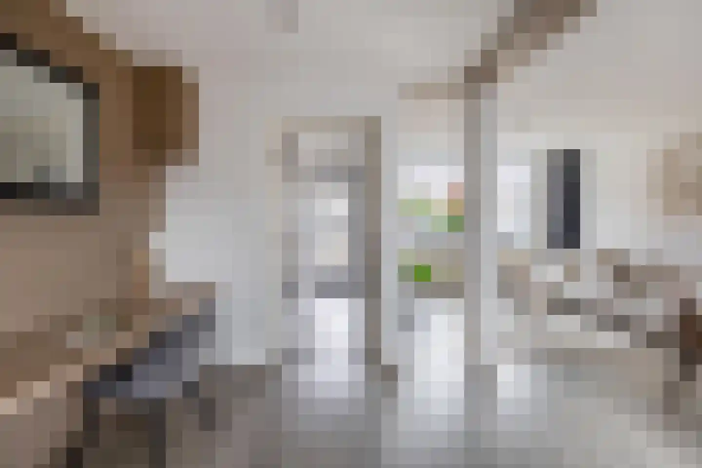 Visartstraat 20 Sluiskil thumbnail 8