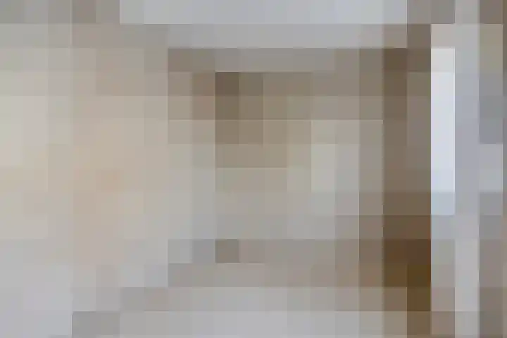 Visartstraat 40 Sluiskil thumbnail 12