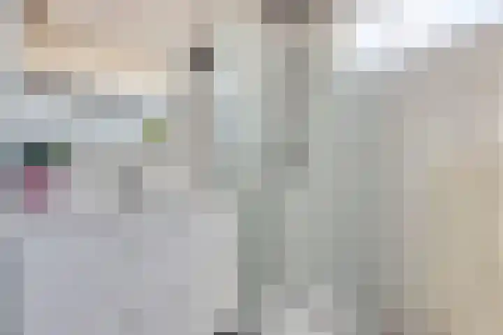 Visartstraat 40 Sluiskil thumbnail 16