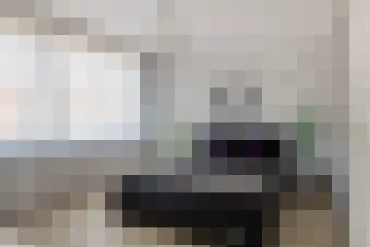 Visartstraat 40 Sluiskil thumbnail 17