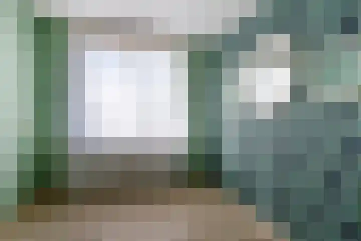 Visartstraat 40 Sluiskil thumbnail 19