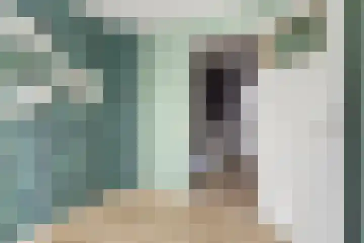 Visartstraat 40 Sluiskil thumbnail 20