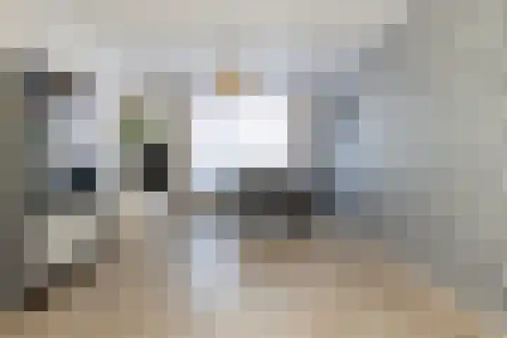 Visartstraat 40 Sluiskil thumbnail 4