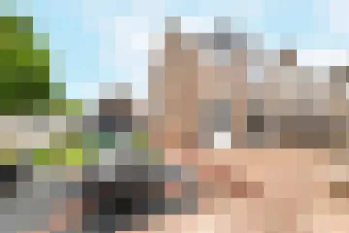 Visartstraat 48 Sluiskil thumbnail 25