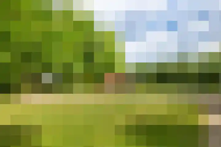 Visartstraat 48 Sluiskil thumbnail 27