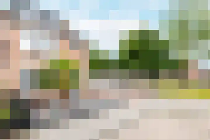 Visartstraat 48 Sluiskil thumbnail 34