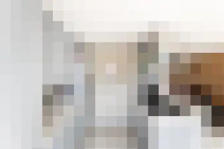 Visartstraat 48 Sluiskil thumbnail 8