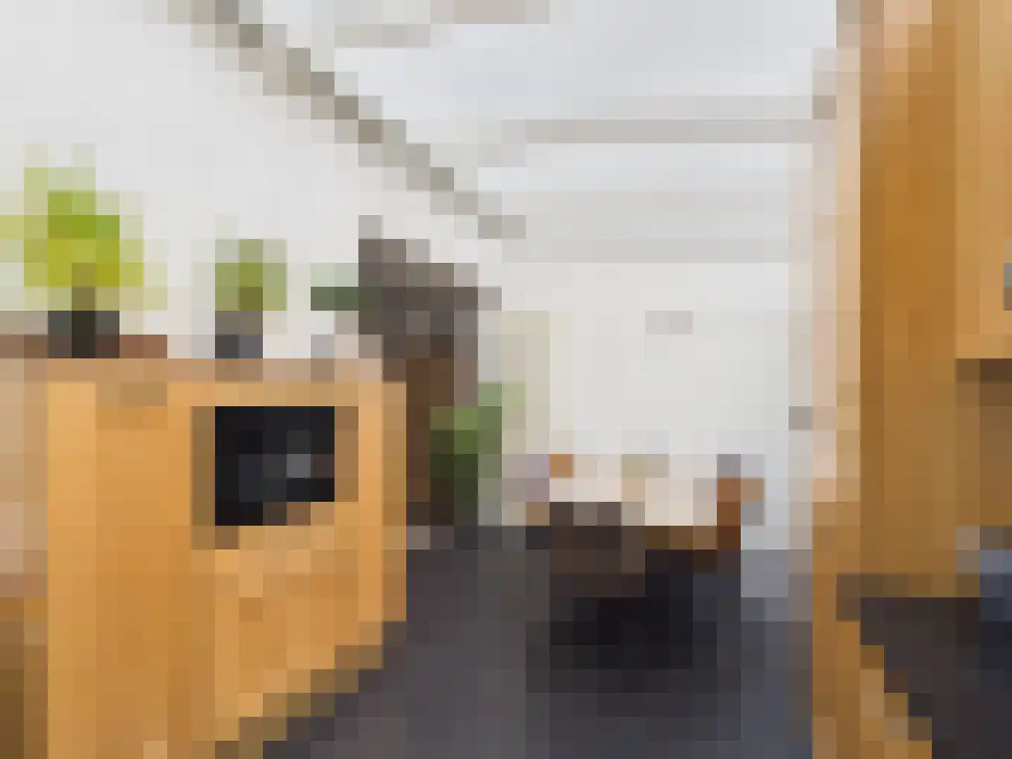 Visartstraat 52 Sluiskil thumbnail 12