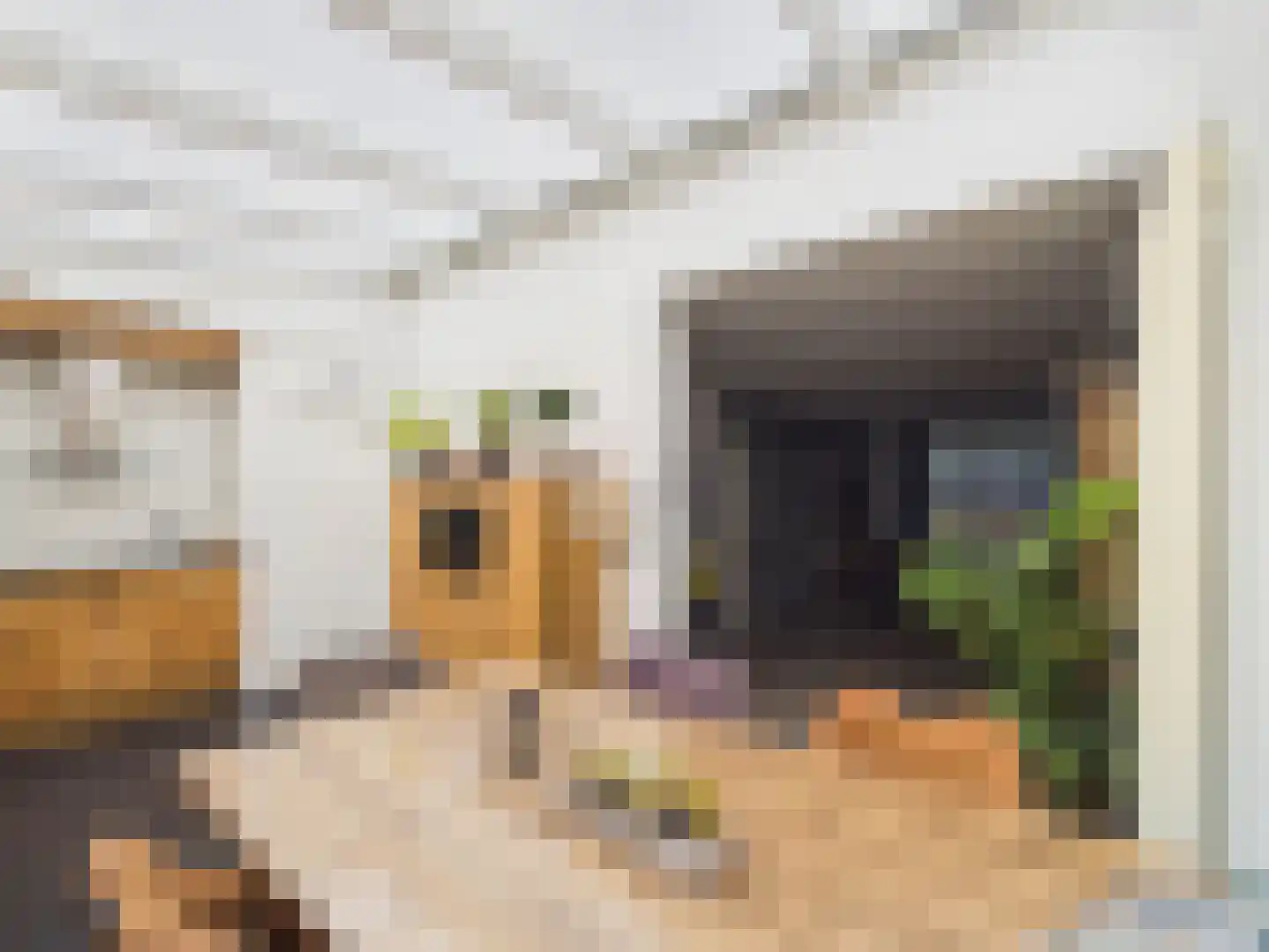 Visartstraat 52 Sluiskil thumbnail 14