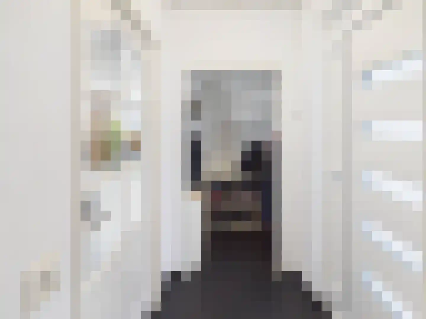Visartstraat 52 Sluiskil thumbnail 16