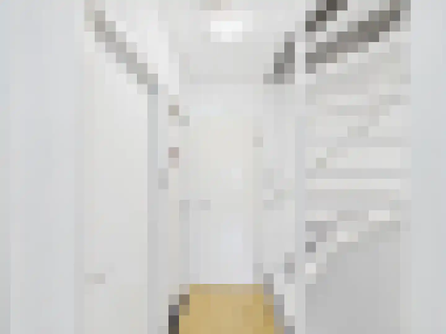 Visartstraat 52 Sluiskil thumbnail 18