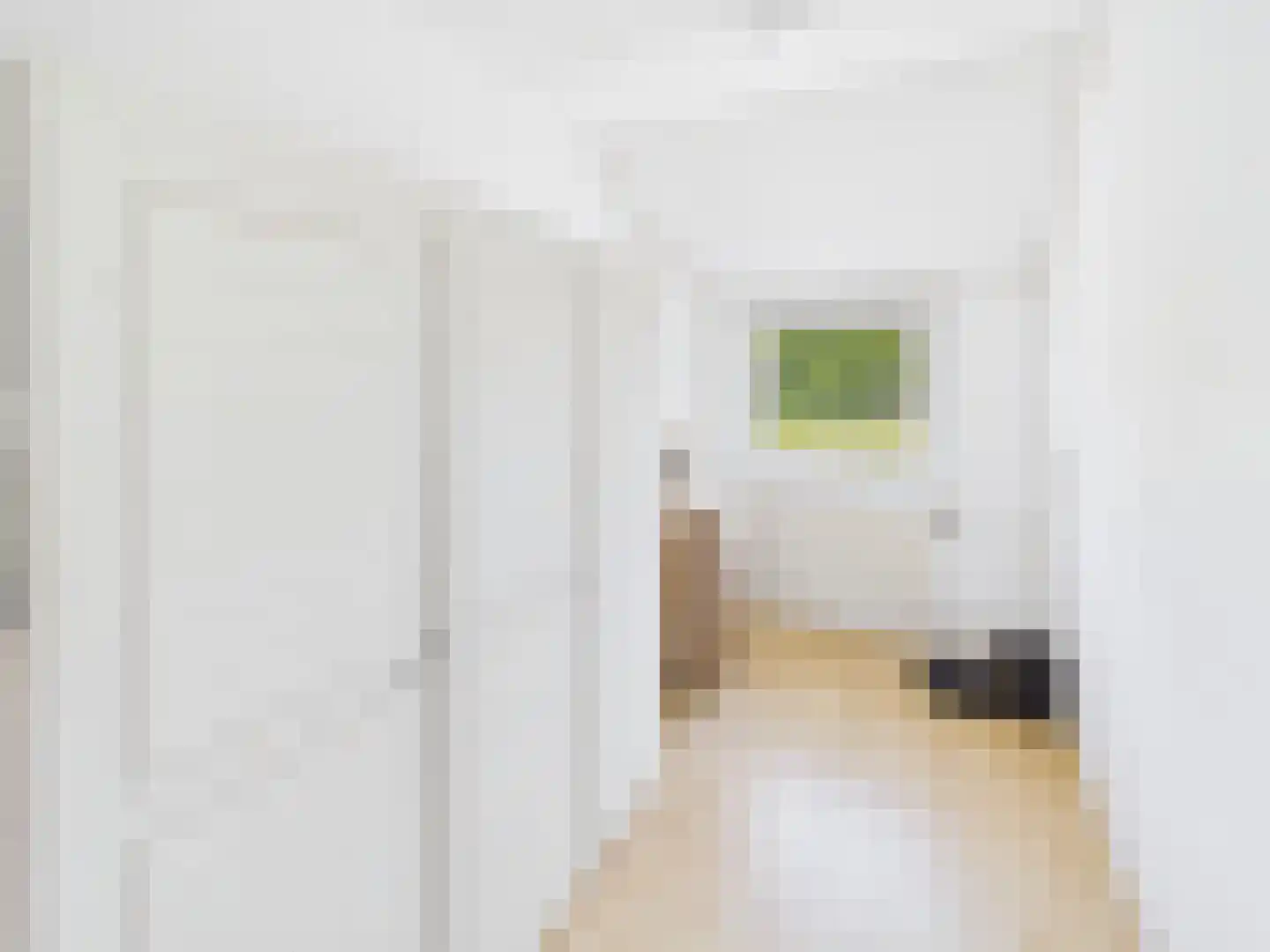 Visartstraat 52 Sluiskil thumbnail 21