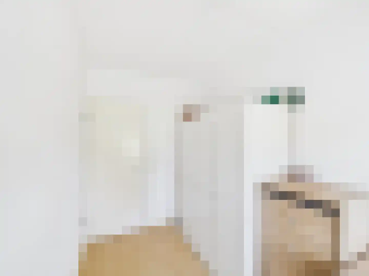 Visartstraat 52 Sluiskil thumbnail 22