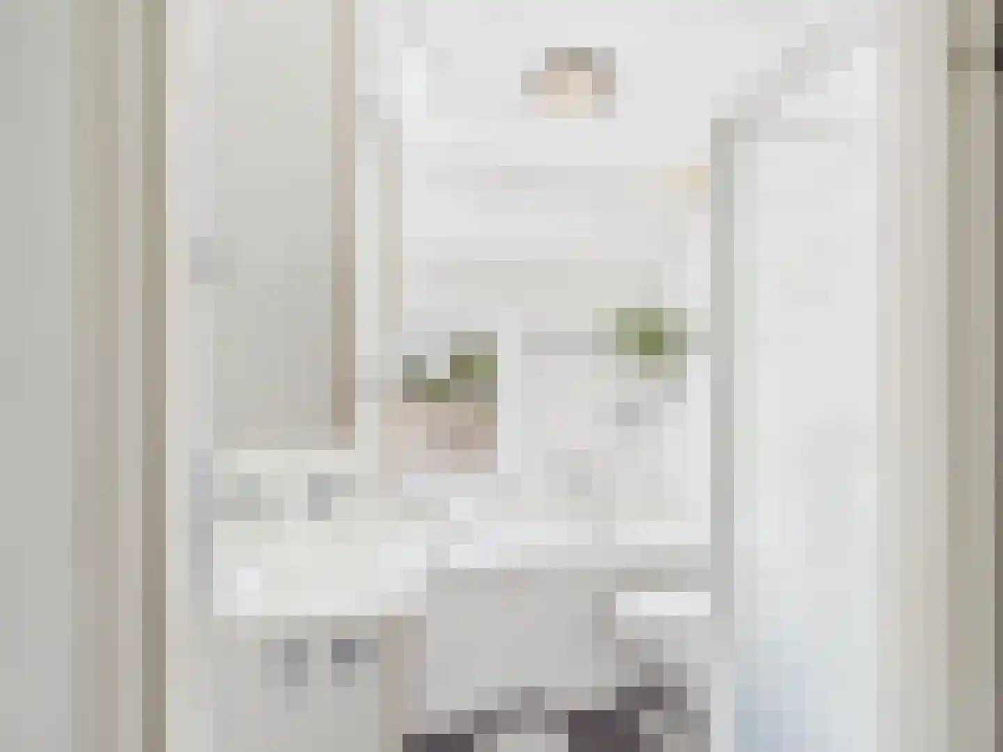 Visartstraat 52 Sluiskil thumbnail 25