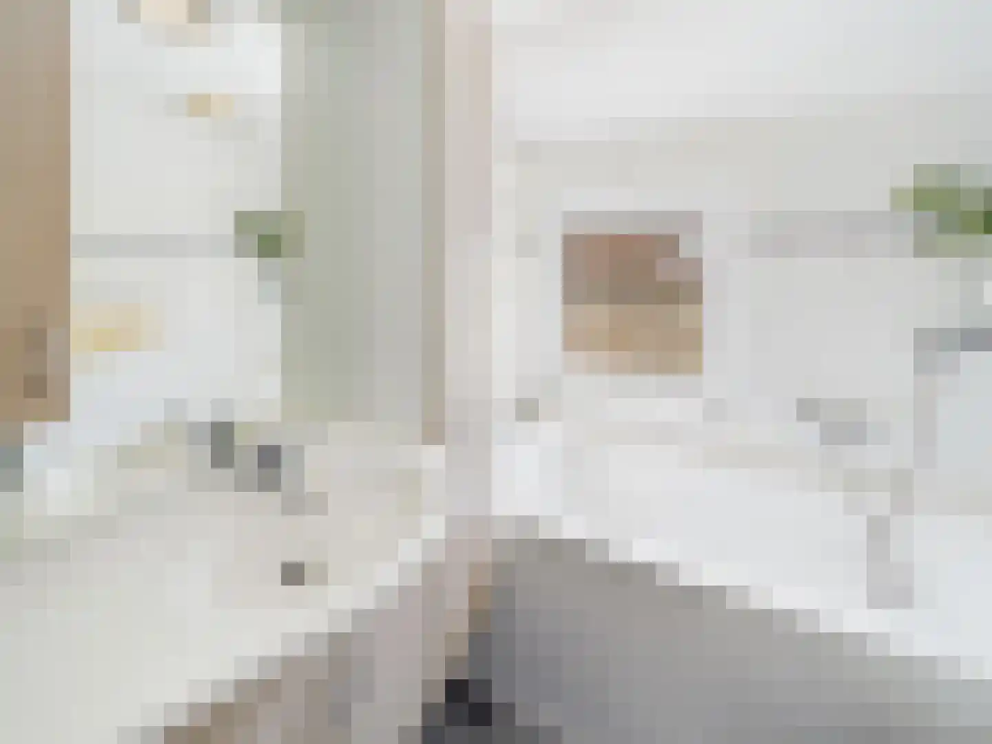 Visartstraat 52 Sluiskil thumbnail 27