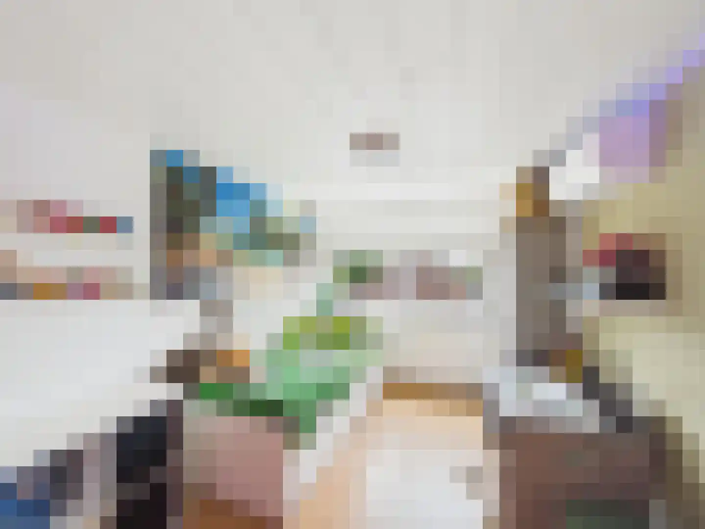 Visartstraat 52 Sluiskil thumbnail 30