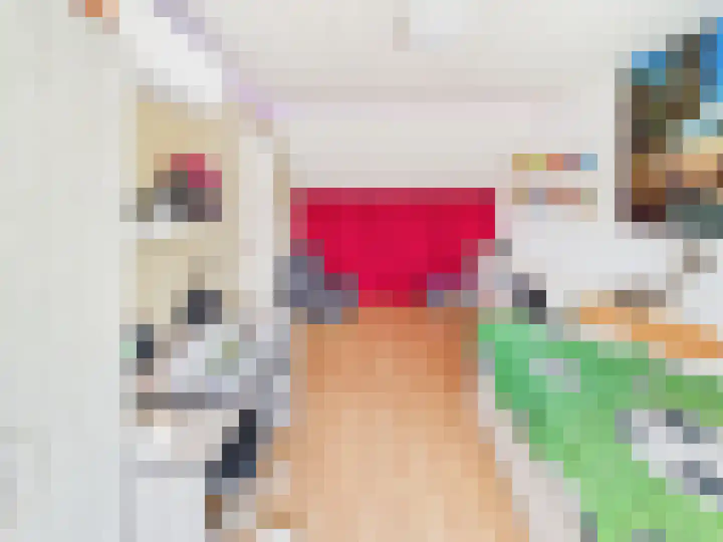 Visartstraat 52 Sluiskil thumbnail 31