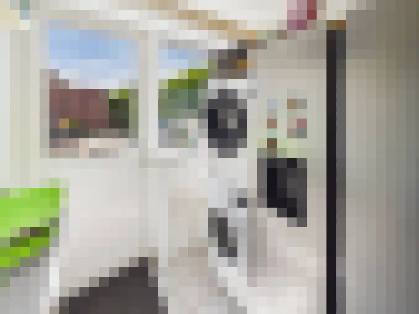 Visartstraat 52 Sluiskil thumbnail 32