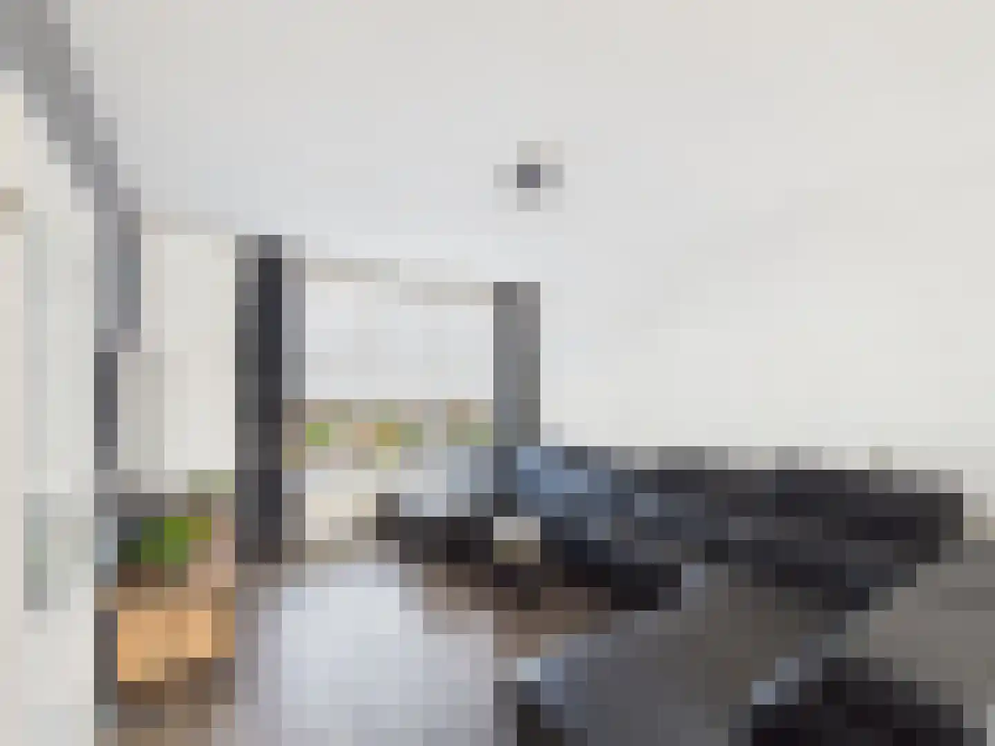Visartstraat 52 Sluiskil thumbnail 4