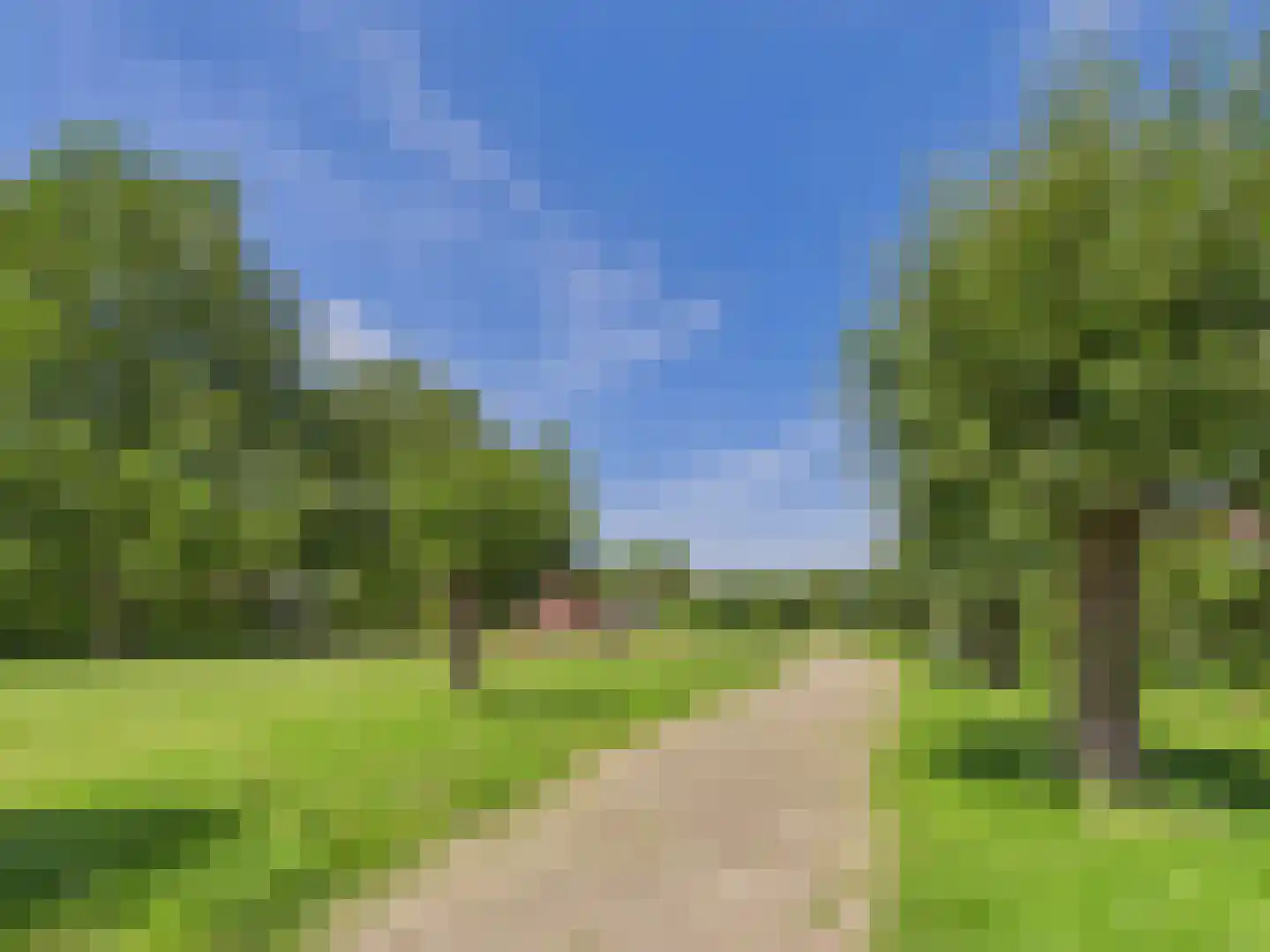 Visartstraat 52 Sluiskil thumbnail 43