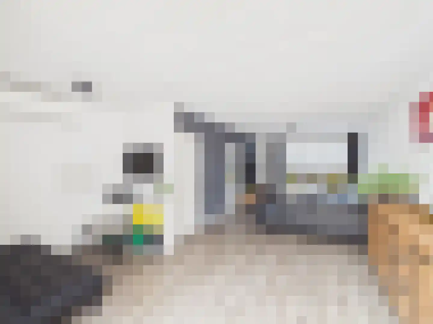 Visartstraat 52 Sluiskil thumbnail 5