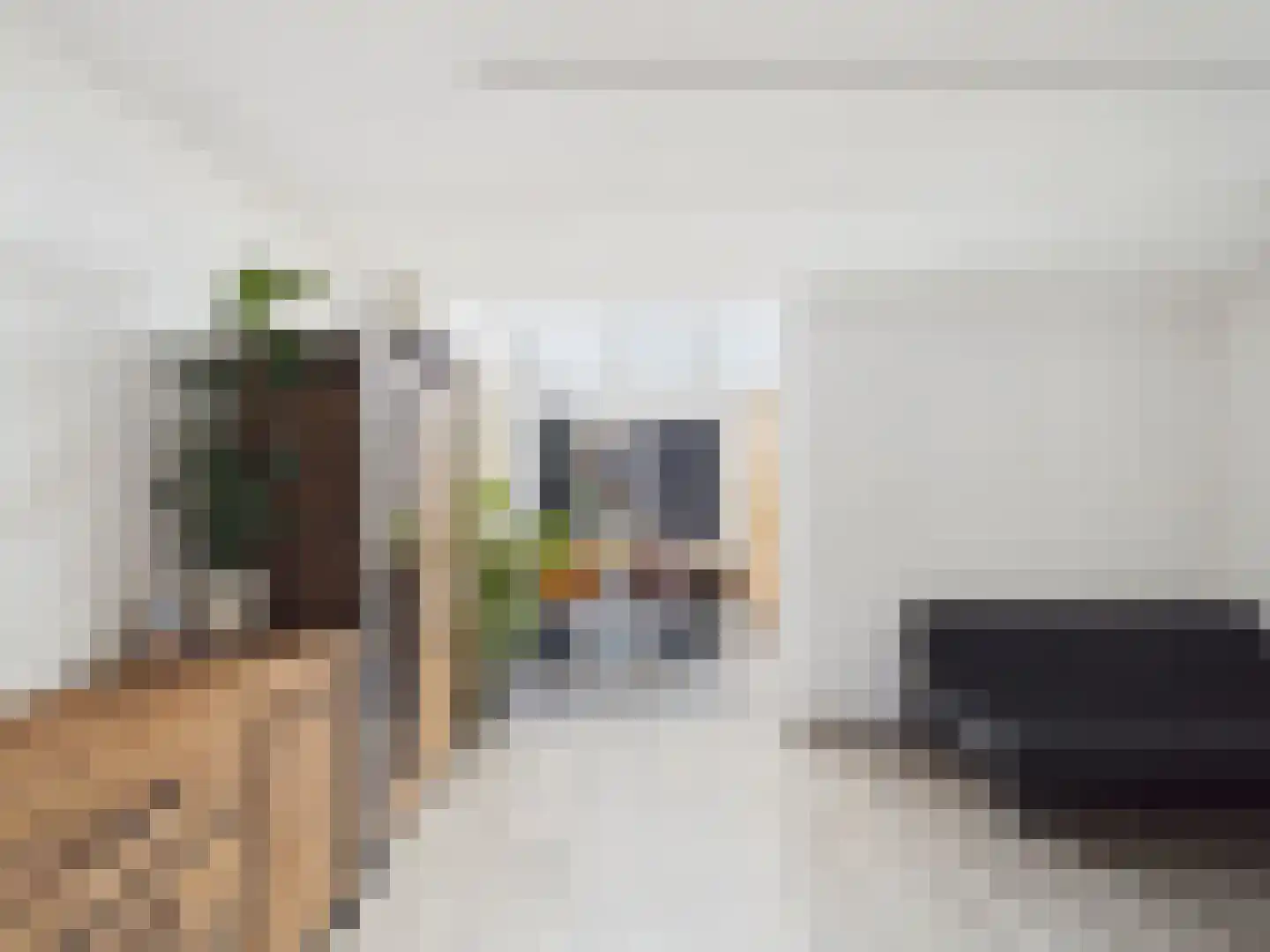 Visartstraat 52 Sluiskil thumbnail 8